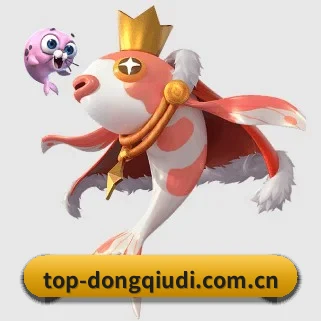 专业赛事服务, 为你而来